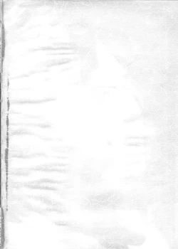 Page 3 of Amigasa Nan Demo-R