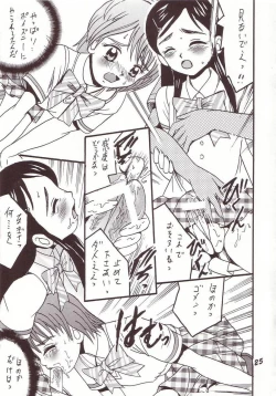 Page 24 of PRECURE STICK