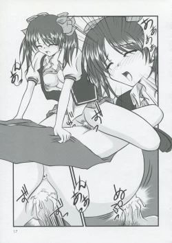 Page 16 of thoroughbred2