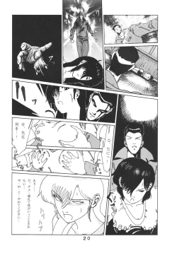 Page 21 of PAPIIT Vol.2