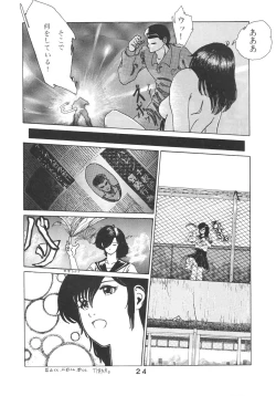 Page 25 of PAPIIT Vol.2