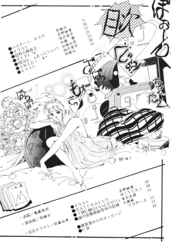 Page 3 of PAPIIT Vol.2