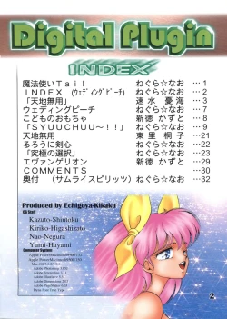 Page 3 of Digital Plugin