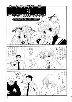 Page 28 of Chousen Ame Ver. 14