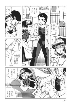 Page 21 of SUPLEX XXI