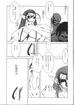 Page 47 of MIDGARD 9.5