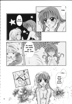 Page 32 of Slayers Tiny