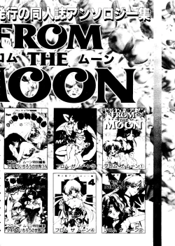 Page 161 of The Henreikai