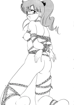 Page 69 of Super Sailor Moon X