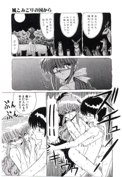 Page 16 of Kaze to Midori no Kuni kara