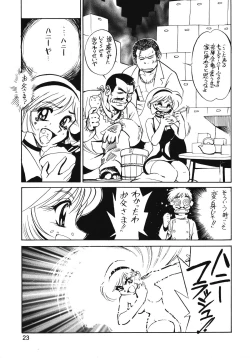 Page 22 of Chousen Ame Ver.13