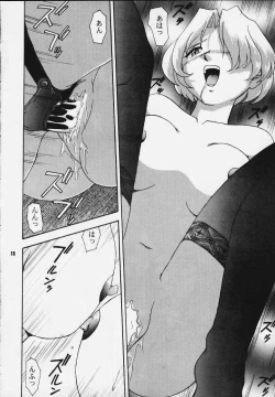 Page 17 of Cameleon Technology 5