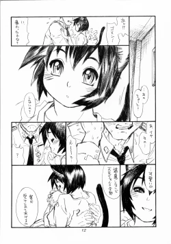 Page 11 of BERRYS 508