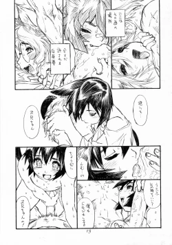 Page 12 of BERRYS 508