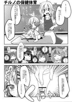 Page 4 of Cirno no Hoken Taiiku