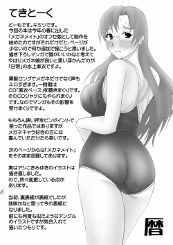 Page 17 of Mai-ching