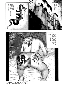 Page 41 of Hanayome Dorei