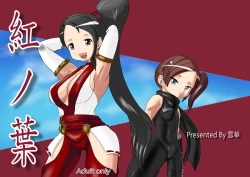 Page 2 of Ninja Gaiden Momiji & Hayabusa