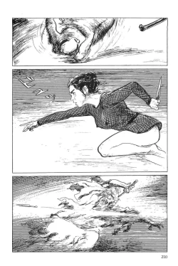 Page 213 of Hanzou no Mon Vol.5