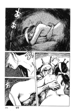 Page 256 of Hanzou no Mon Vol.5