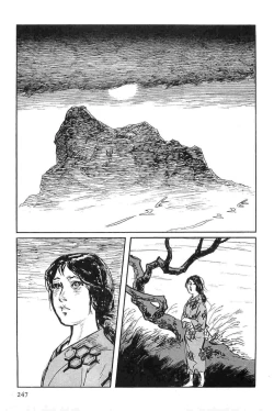 Page 250 of Hanzou no Mon Vol.8