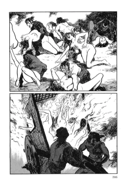 Page 209 of Hanzou no Mon Vol.9