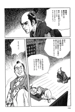 Page 249 of Hanzou no Mon Vol.9