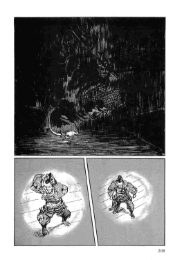 Page 211 of Hanzou no Mon Vol.10