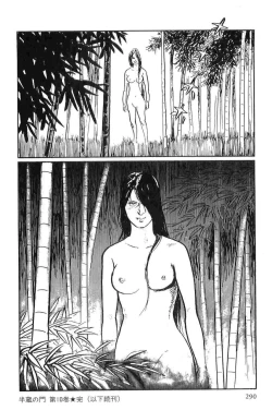 Page 293 of Hanzou no Mon Vol.10