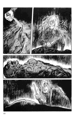 Page 48 of Hanzou no Mon Vol.10