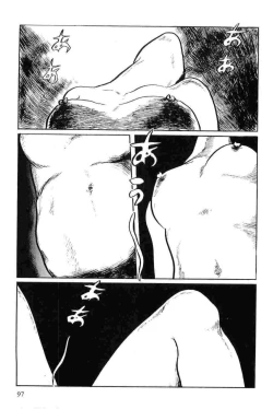 Page 100 of Hanzou no Mon Vol.11