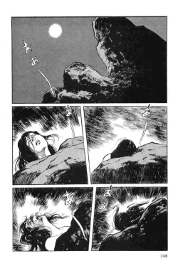 Page 251 of Hanzou no Mon Vol.11