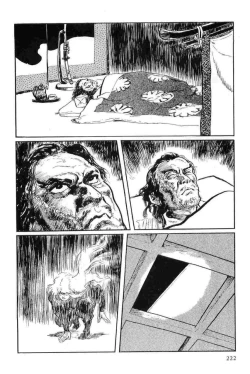 Page 225 of Hanzou no Mon Vol.12