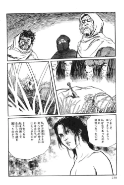 Page 241 of Hanzou no Mon Vol.13