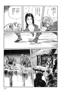 Page 260 of Hanzou no Mon Vol.13