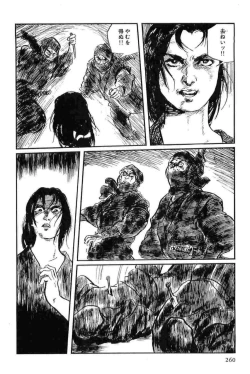 Page 263 of Hanzou no Mon Vol.13