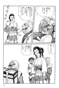 Page 26 of Hanzou no Mon Vol.13