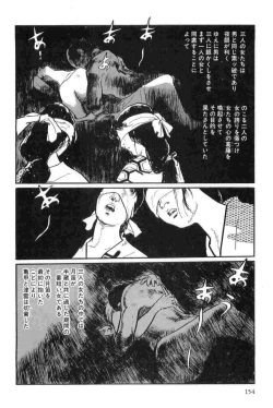 Page 157 of Hanzou no Mon Vol.14