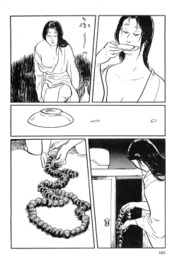 Page 189 of Hanzou no Mon Vol.14