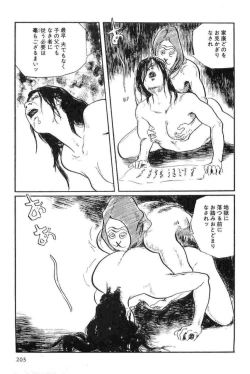 Page 206 of Hanzou no Mon Vol.14