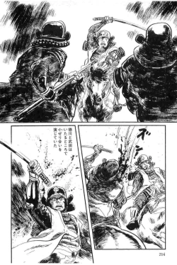 Page 217 of Hanzou no Mon Vol.14