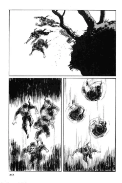 Page 248 of Hanzou no Mon Vol.14