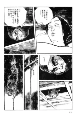 Page 255 of Hanzou no Mon Vol.14