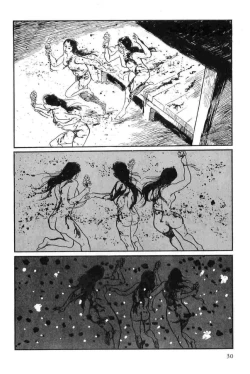 Page 33 of Hanzou no Mon Vol.14