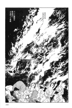 Page 246 of Hanzou no Mon Vol.15