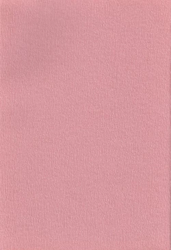 Page 4 of Chiki Chiki