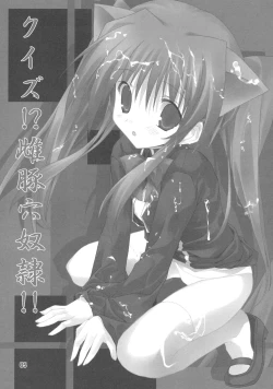 Page 2 of Quiz!? Mesubuta Anadorei!!