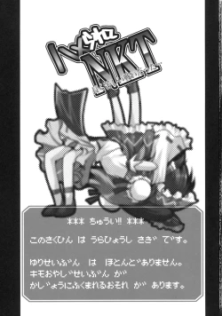 Page 3 of Hamerarete NKT