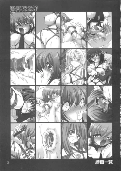 Page 2 of Kinbaku Hihoukan Daiisshuu