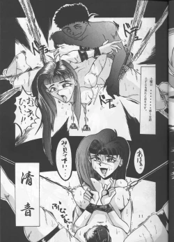 Page 10 of Shadow=Defence